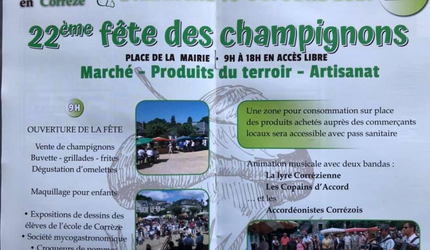 22ème fête des champignons